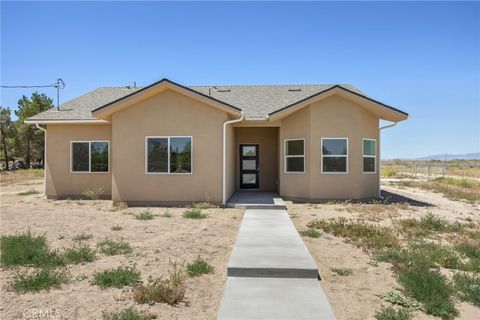 Photo of 47363 W 93rd Street, Antelope Acres, CA 93536 (MLS # SR26100237)