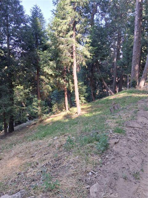 61 Evergreen Drive Cedarpines Park CA 92322