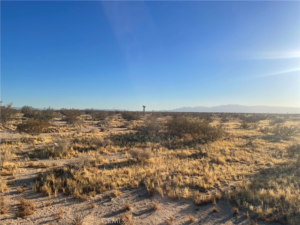 Your future-income-generating crop space or off-grid recreational paradise awaits! This USDA approved flat 10-acre parcel, nestled in the heart of the Mojave Desert, is ready for your entrepreneurial vision. This property is offered at an exceptional price due to seller relocation. ADD zoning allows a wide range of uses including animal shelters, veterinary hospitals, emergency and homeless shelters, hospitals, clinics, medical and dental offices, medical cannabis facilities (excluding dispensaries), churches, alcohol sales, wineries, auto parts sales, gas stations, car and boat sales, power generating, television and radio broadcasting, restaurants, bakeries, coffeeshops, dance clubs, golf courses and driving ranges, retail, printing and publishing, horticulture services, warehouses, and more. Let your imagination take flight with this affordable and versatile property. Owners are open to seller financed offers.