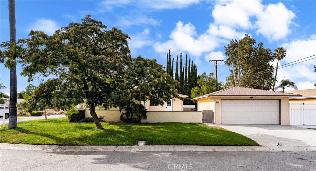 521 Lemon Street