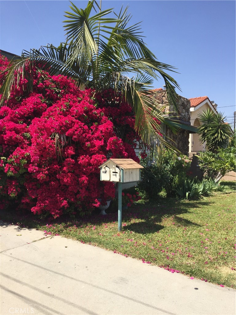 3243 Prospect Avenue