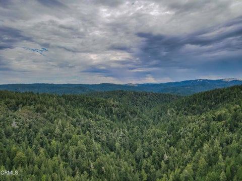 Photo of 10611 Hungry Hollow Road, Philo, CA 95463 (MLS # C1-11552)