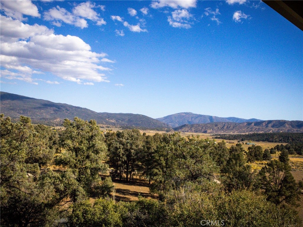 15815 Curtis Trail