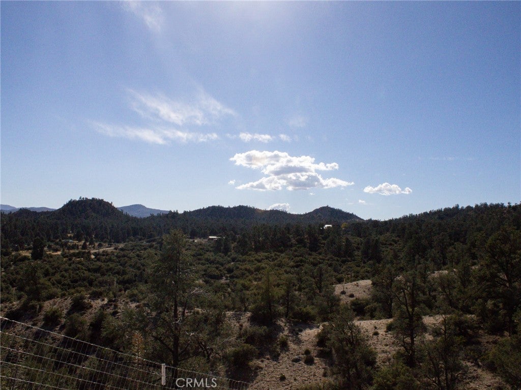 15815 Curtis Trail