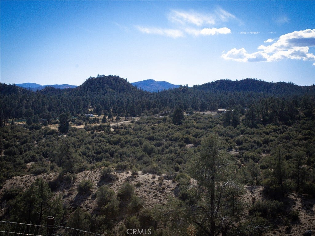 15815 Curtis Trail