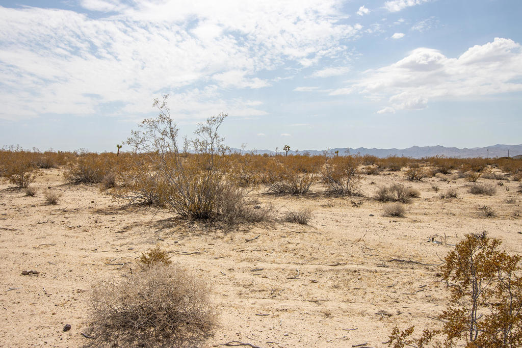 Not Applicable-1 - Land