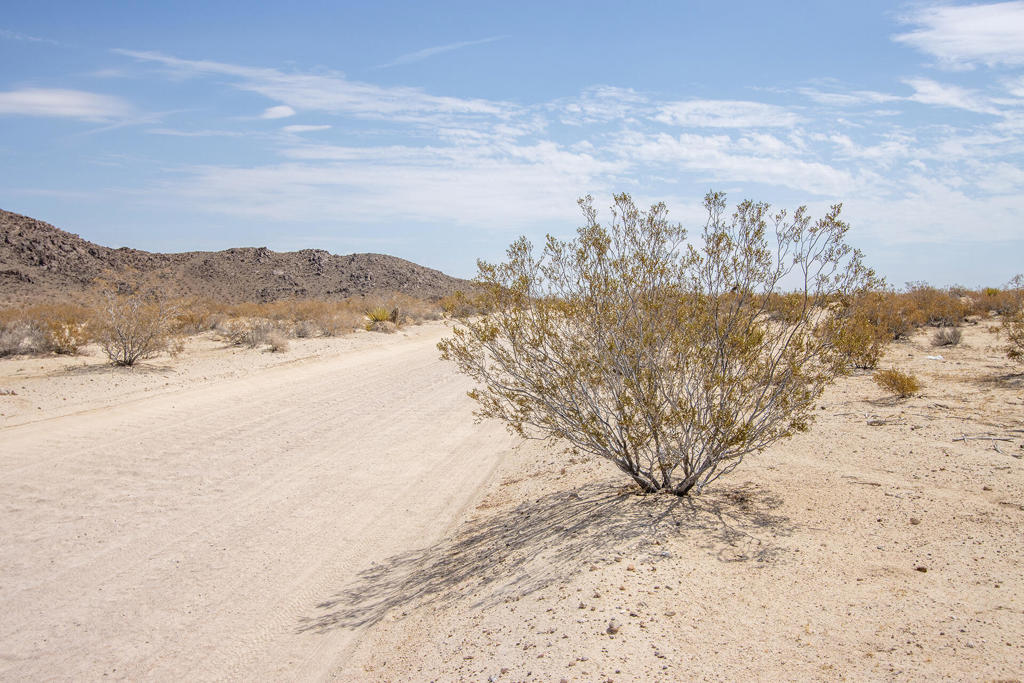 Not Applicable-1 - Land