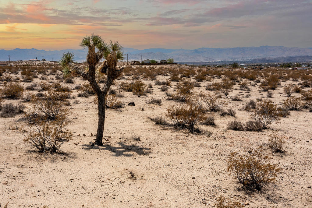 Not Applicable-1 - Land