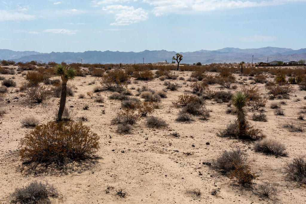 Not Applicable-1 - Land