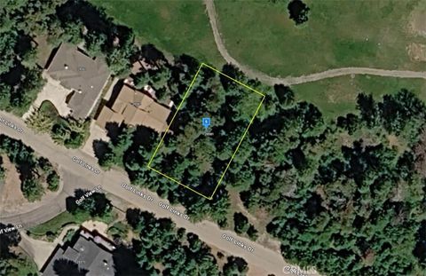 Photo of 26581 Golf Links Dr, Pioneer, CA 95666 (MLS # AR26071053)