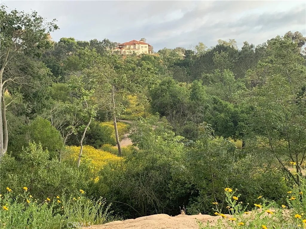 Freedom Homes (FREE) - Residential Lease