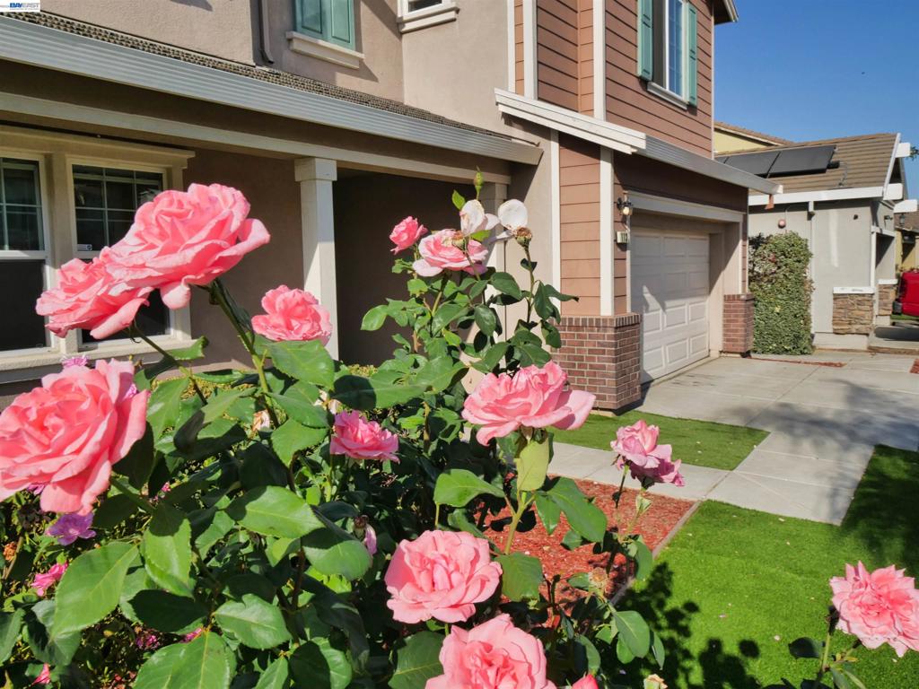 113 Silver Bell Way