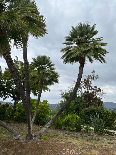 Southshore Hills (720) - Residential Lease