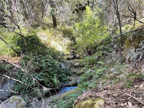 Photo of 5699 5693 Creel, Mariposa, CA 95338 (MLS # MP25225549)