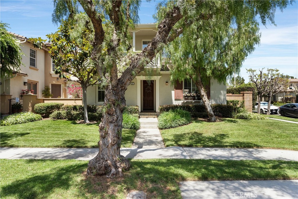 47 Robinson Drive
