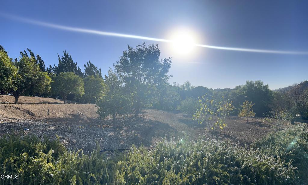 Lexington Hills - 288008 - Residential