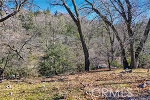 Deer Lodge Park (DLPK) - Land