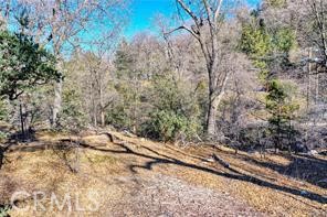 Deer Lodge Park (DLPK) - Land