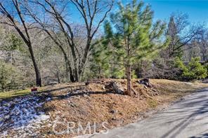 Deer Lodge Park (DLPK) - Land
