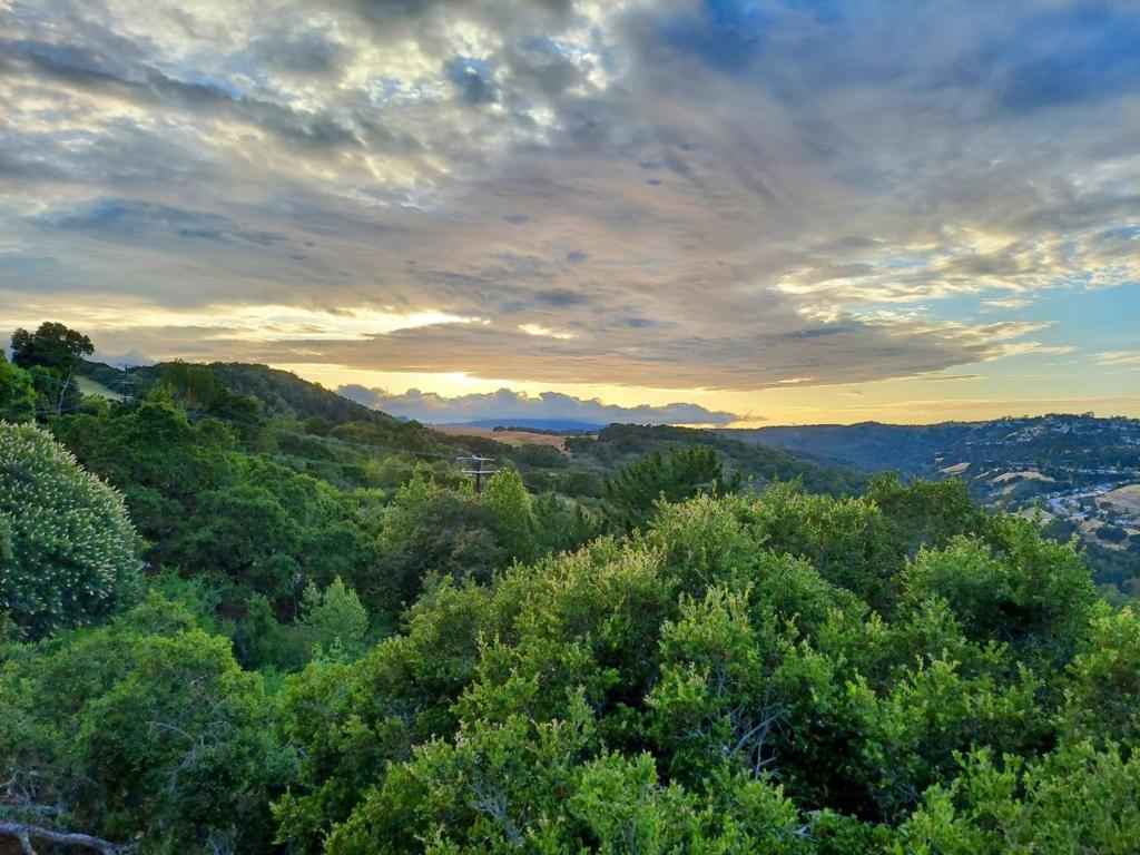 Fully furnished separate guest house with a truly unbelievable view from every room. Days on market will always be high as this listing remains live with availabity frequently changing. Sunsets on the western hills are a nightly spectacle, plus bay and city lights views. This is a country setting. Rustic organic ranch inspired property with a chic, polished interior. Its small but spectacular. In the hills above Redwood City, 5 Mins to 280, 10 mins to downtown Woodside, 10 mins to downtown Redwood City. Onyx countertops, gas range, stainless steel fridge, range hood and dishwasher, two bedrooms with walk in closets, one bedroom is set up as a home office, primary bedroom with an in room vanity sink, stained concrete floors throughout, recessed lighting, ceiling fans, vaulted, beamed cathedral ceiling, ductless heating and air conditioning, striking panoramic views of bay, bridges, city light AND of the western hills, gated private driveway, 2 full bathrooms - they are luxuriously appointed but quite small, private secured parking, washer and dryer, swimming pool, retreat like property, not for someone who wants to entertain- no parties, Fully furnished, FTTP Fiber to ethernet, mesh wifi, all utilities included