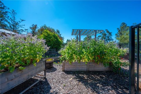 Tiny photo for 1212 Black Sage Cir, Nipomo, CA 93444 (MLS # PI26065883)