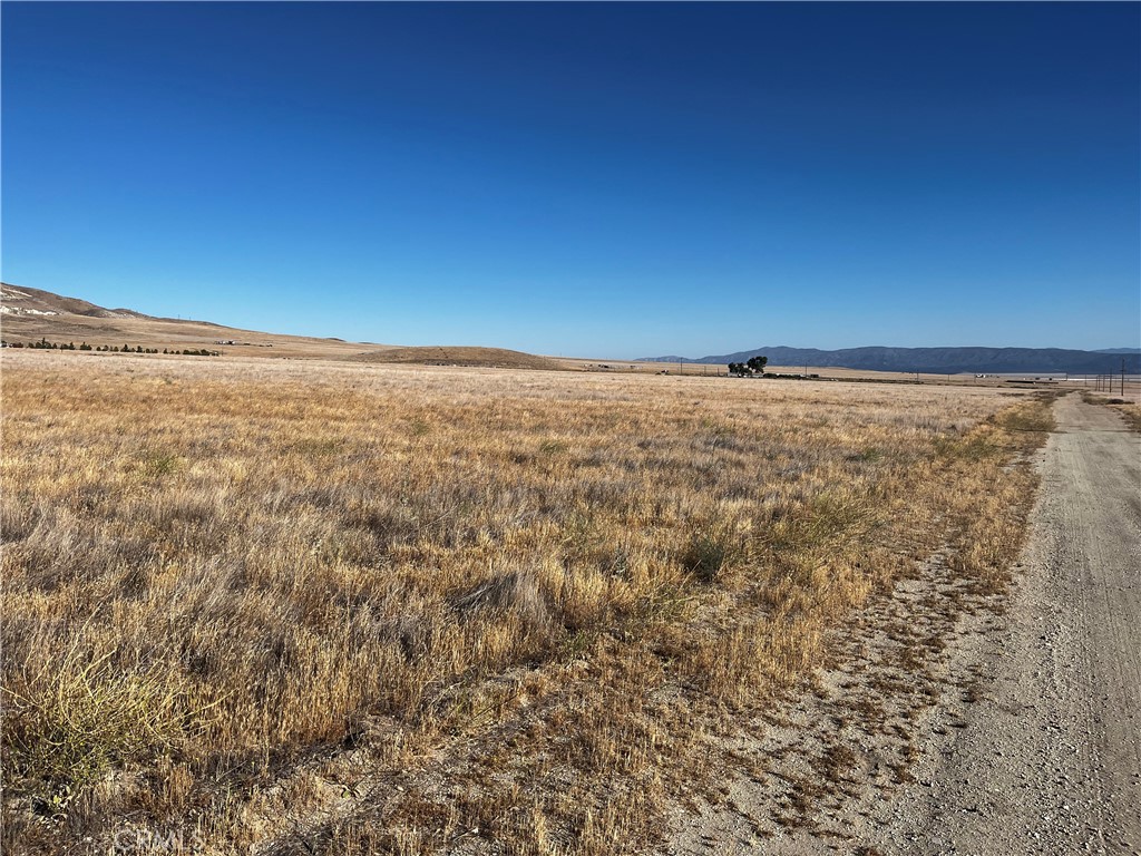 Carrizo Plains/California Valley(62) - Land