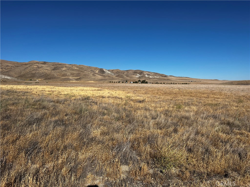 Carrizo Plains/California Valley(62) - Land