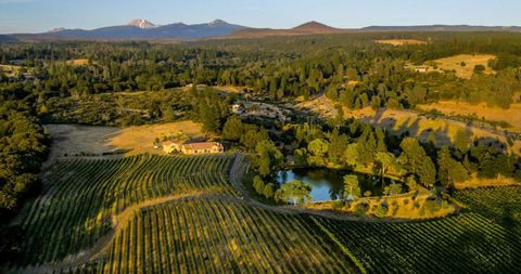 Photo of 31630 Forward Rd. Rd, Manton, CA 96059 (MLS # ML82029134)