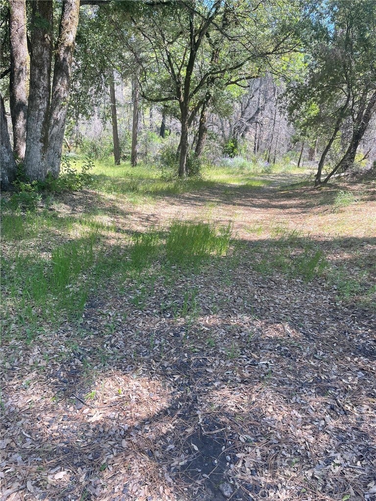 Properties 4 0 Lumpkin Road