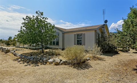 Photo of 1895 Barkley Ranch Road, Pinon Hills, CA 92372 (MLS # HD25159133)