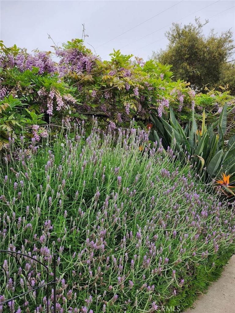 Fallbrook - Residential