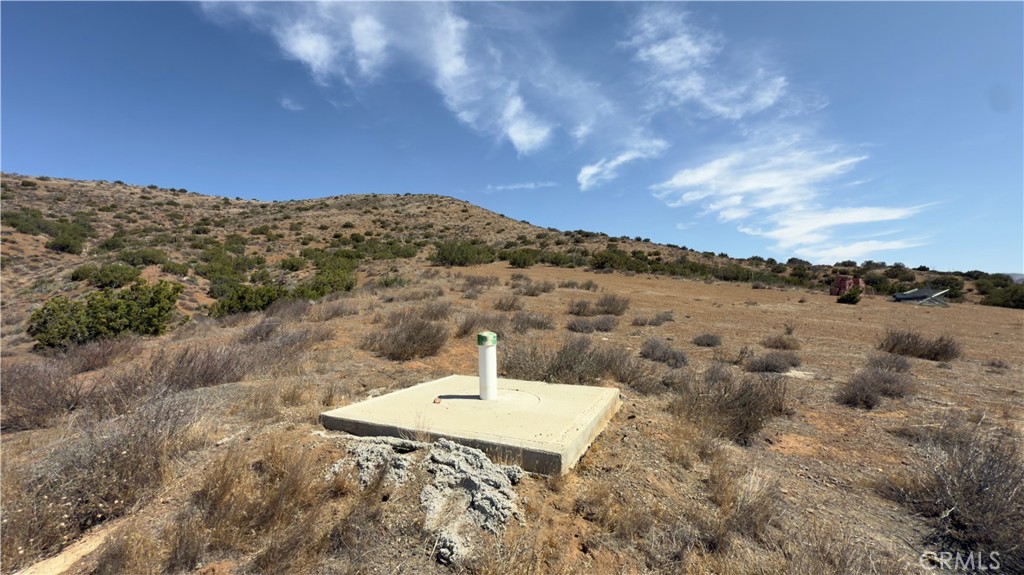 Custom Acton (CACTO) - Land