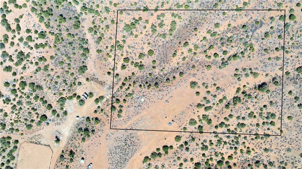 Custom Acton (CACTO) - Land