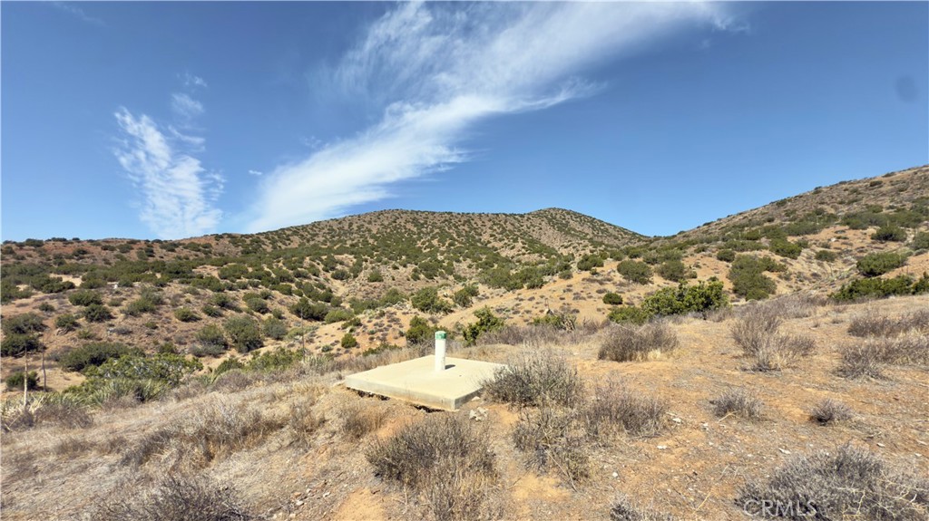 Custom Acton (CACTO) - Land