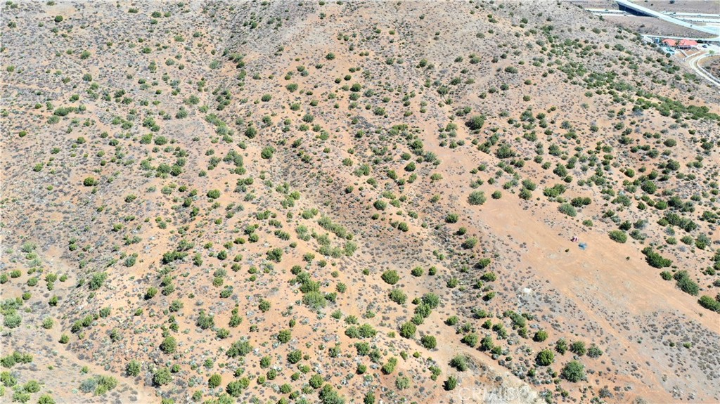 Custom Acton (CACTO) - Land