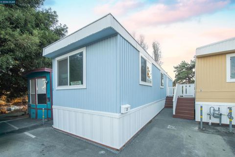 Photo of 2990 San Pablo Dam Road Rd, San Pablo, CA 94806 (MLS # 41133588)