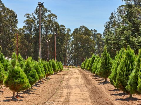 Tiny photo for 424 Bermuda Place, Nipomo, CA 93444 (MLS # PI25188237)