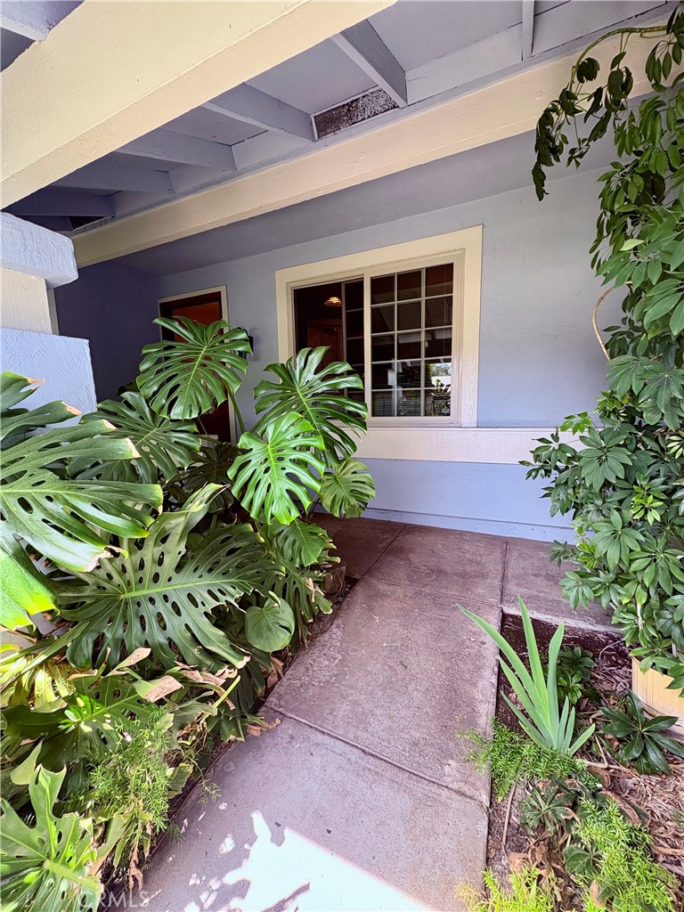 227 Burning Tree Drive