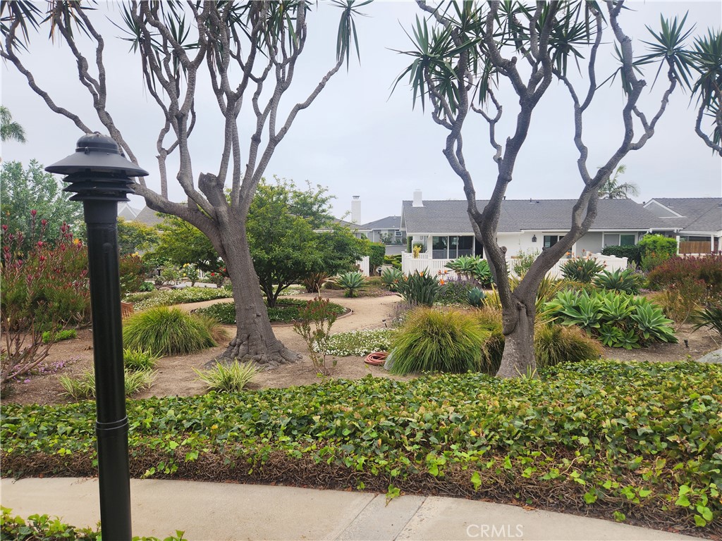 Colony Cove (CC) - Residential Lease