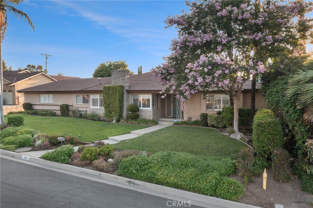 1021 S Dancove Drive