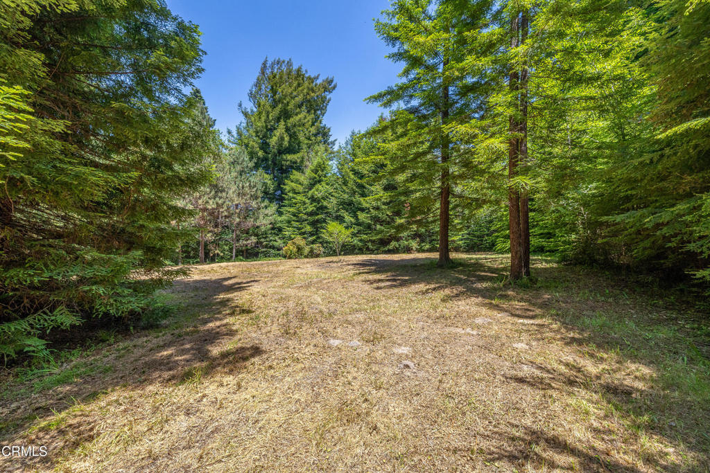 15620 Shane Drive