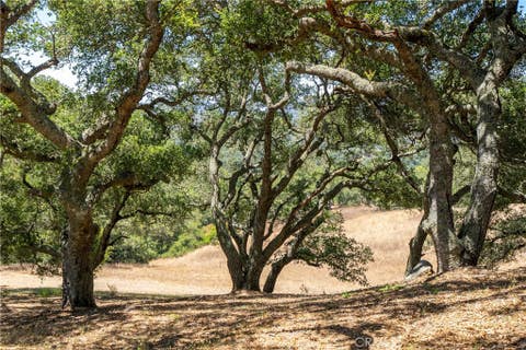 Tiny photo for 12709 Paso Verde Court, Atascadero, CA 93422 (MLS # NS26145835)