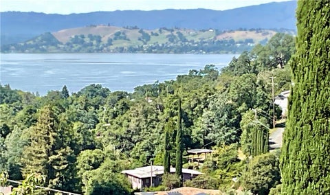 Photo of 7282 Marin Street, Nice, CA 95464 (MLS # LC26092292)
