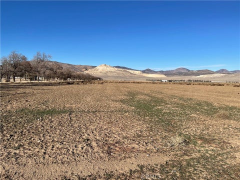 Photo of 20028 Tehachapi Willow Springs Rd Rd, Tehachapi, CA 93561 (MLS # HD25116735)