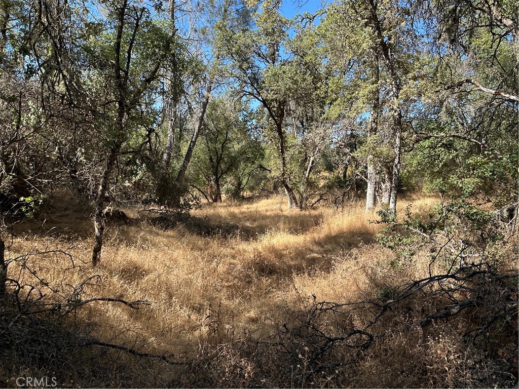 Discover the beauty and potential of 9.37 spectacular acres, featuring dramatic large rock formations and possible sweeping views of the near by lake. This property is a one-of-a-kind opportunity for those seeking a retreat surrounded by natural wonder and breathtaking views. Whether you imagine an adventurous getaway, a unique custom home (subject to approvals), or simply a sanctuary in nature, this land promises an experience like no other. Seller financing available. Call today to schedule a private tour and explore the possibilities!