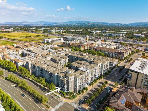 Photo of 5501 De Marcus Blvd Blvd #319, Dublin, CA 94568 (MLS # 41132800)