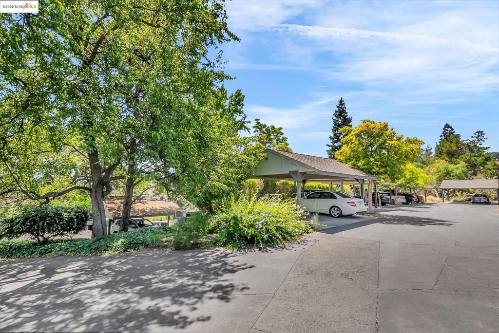 ASHWOOD - Residential