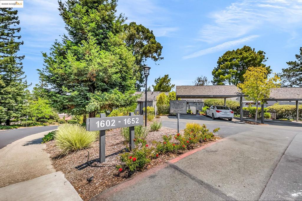 ASHWOOD - Residential