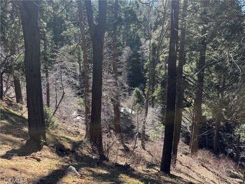 Photo of 0 Sunderland Court, Lake Arrowhead, CA 92352 (MLS # JT25064713)