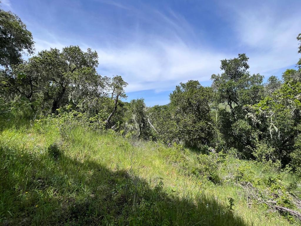 33446 E Carmel Valley Road